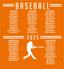 Load image into Gallery viewer, Little League 2025 All Stars Baseball