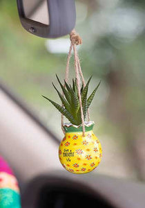 Natural Life pineapple hanging succulent